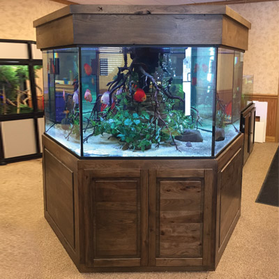 Majestic Custom Aquariums
