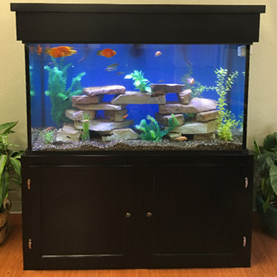 Majestic Custom Aquariums