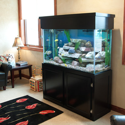 Majestic Custom Aquariums