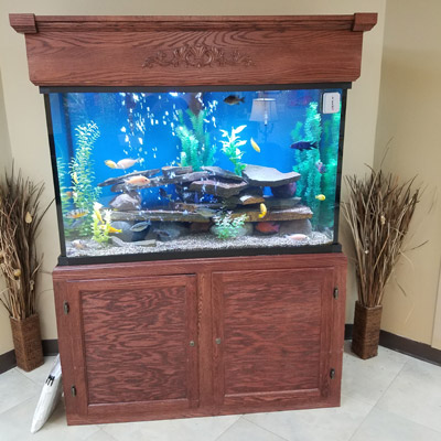 Majestic Custom Aquariums