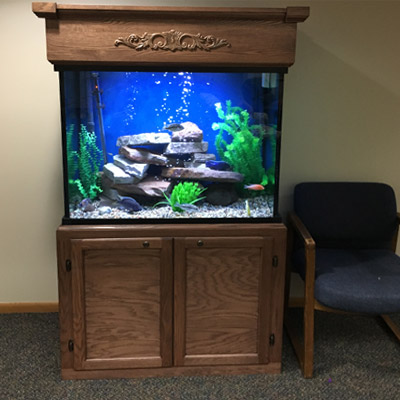 Majestic Custom Aquariums