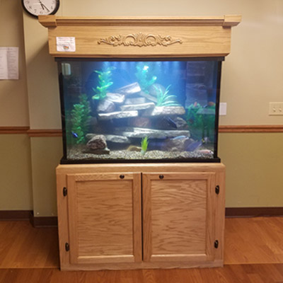 Majestic Custom Aquariums