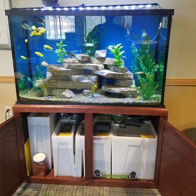 Majestic Custom Aquariums