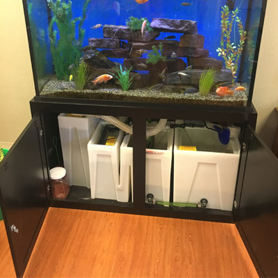Majestic Custom Aquariums