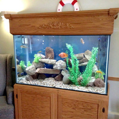Majestic Custom Aquariums