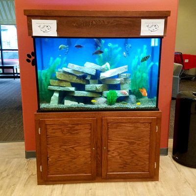 Majestic Custom Aquariums