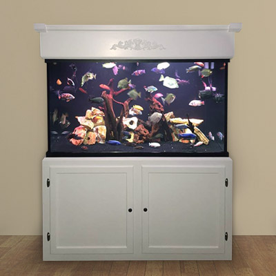 Majestic Custom Aquariums